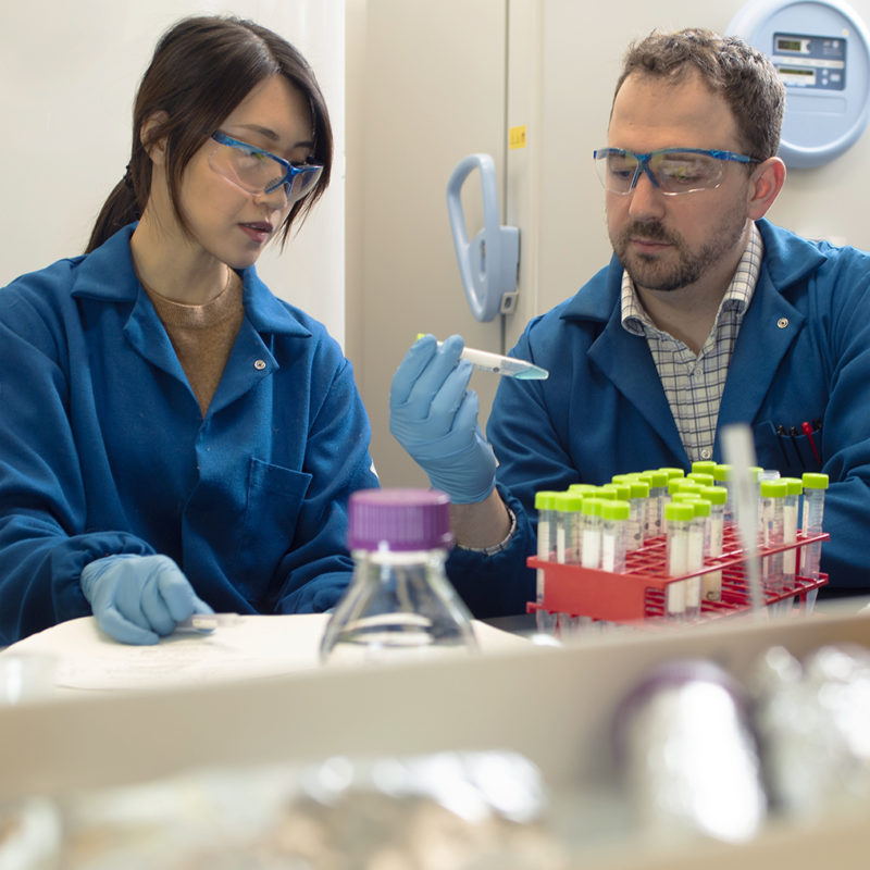 Prof. Matthew Webber and graduate student in his lab