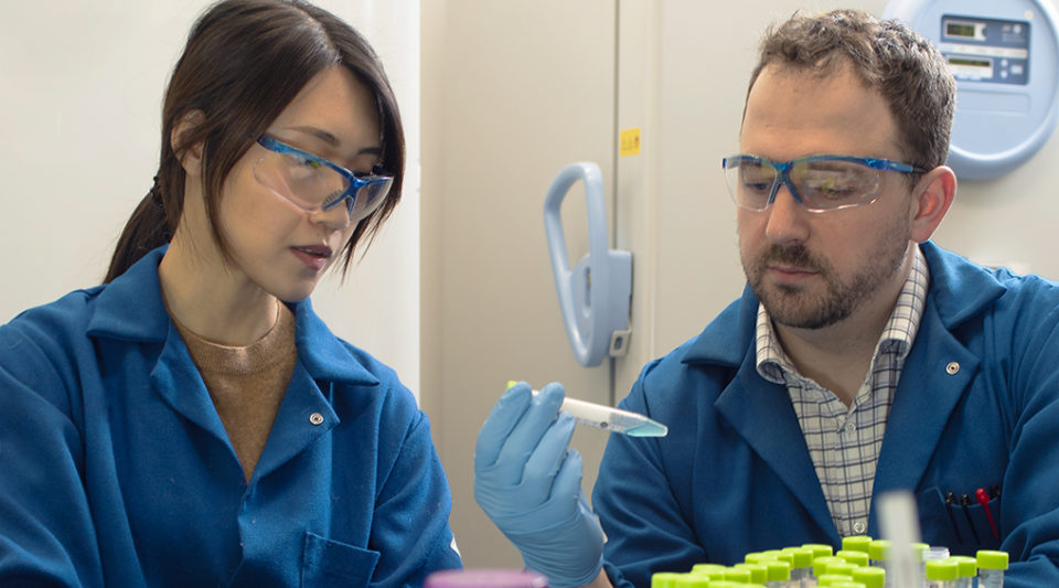 Prof. Matthew Webber and graduate student in his lab