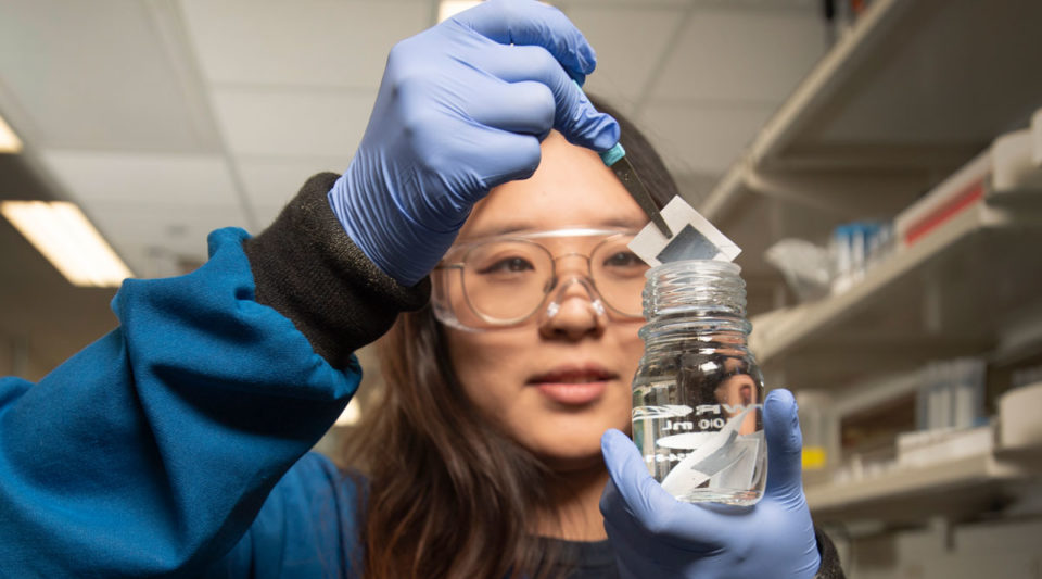 Ph.D. student Jialing Xu with filter sample